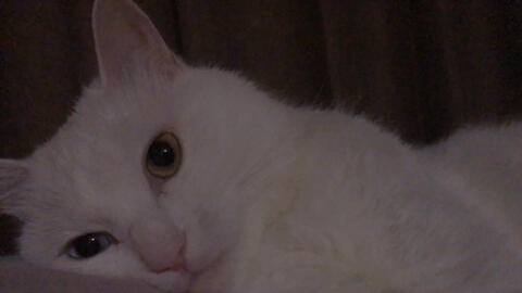 65a4014ee52e4dae248237cf35d7f8e18e3d90a8.jpg@480w_270h_1c