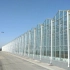 真正的现代化玻璃温室大棚内部蔬菜种植盛况