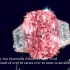 【苏富比】威廉姆森粉红之星以4.53亿港币成交价刷新钻石及宝石每克拉成交价之世界拍卖纪录
