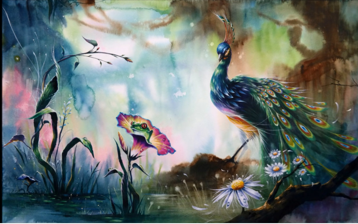 关于森林教学的视频合集