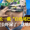 大妈长一截“白色尾巴”！老公吓尿了：这啥玩意？#白癜风