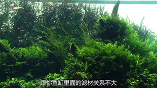 661647490f8b10bbc81857fdb611bb5895e9ff95.jpg@310w_174h_1c_100q.jpg