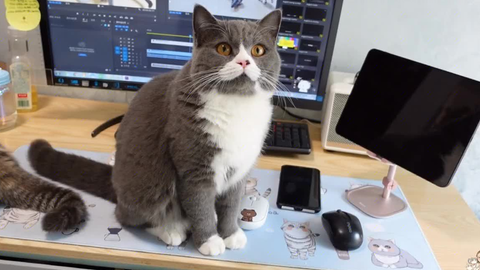 怎么快速止吐恶心 66185f408525276864a00afa78dd2f46c28580cd.png@480w_270h_1c