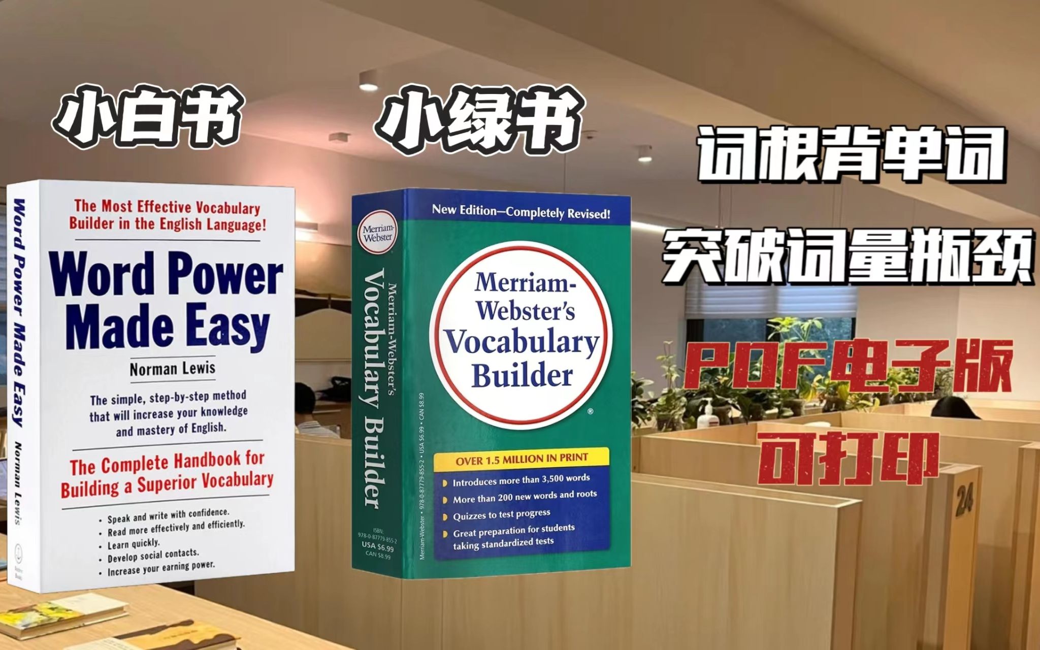 宝藏词汇书|韦氏小绿书and小白书