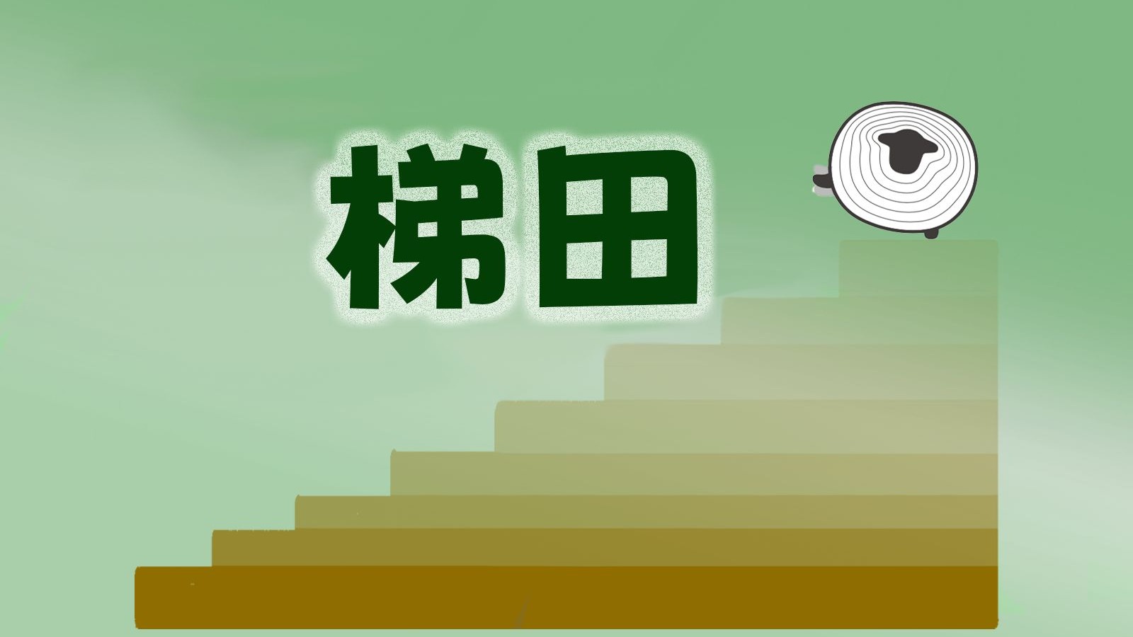 面对高考，知道这4种梯田就够了【羊羊地理 | 手绘动画79】