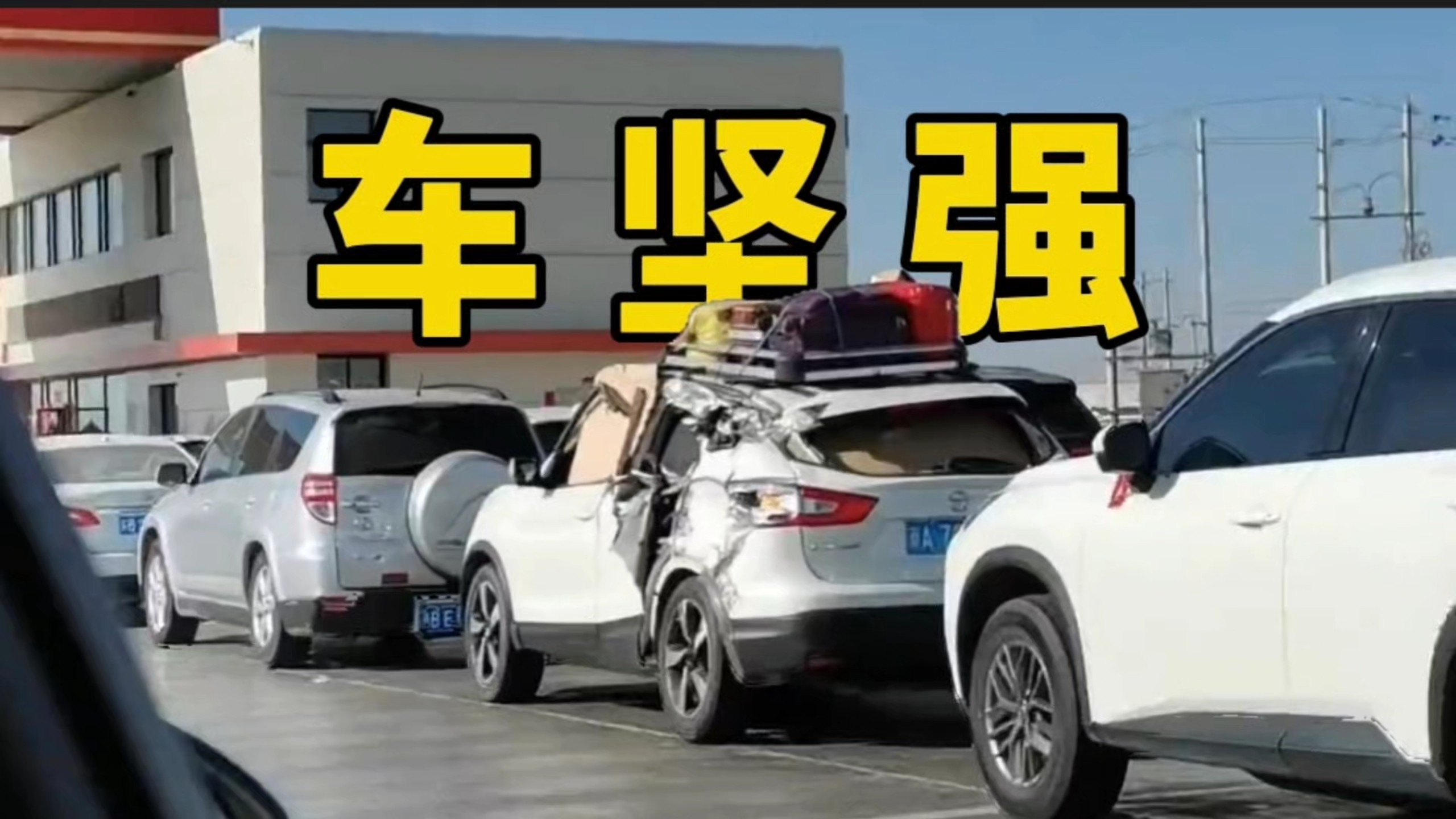 中国人对回家过年的执念有多深！