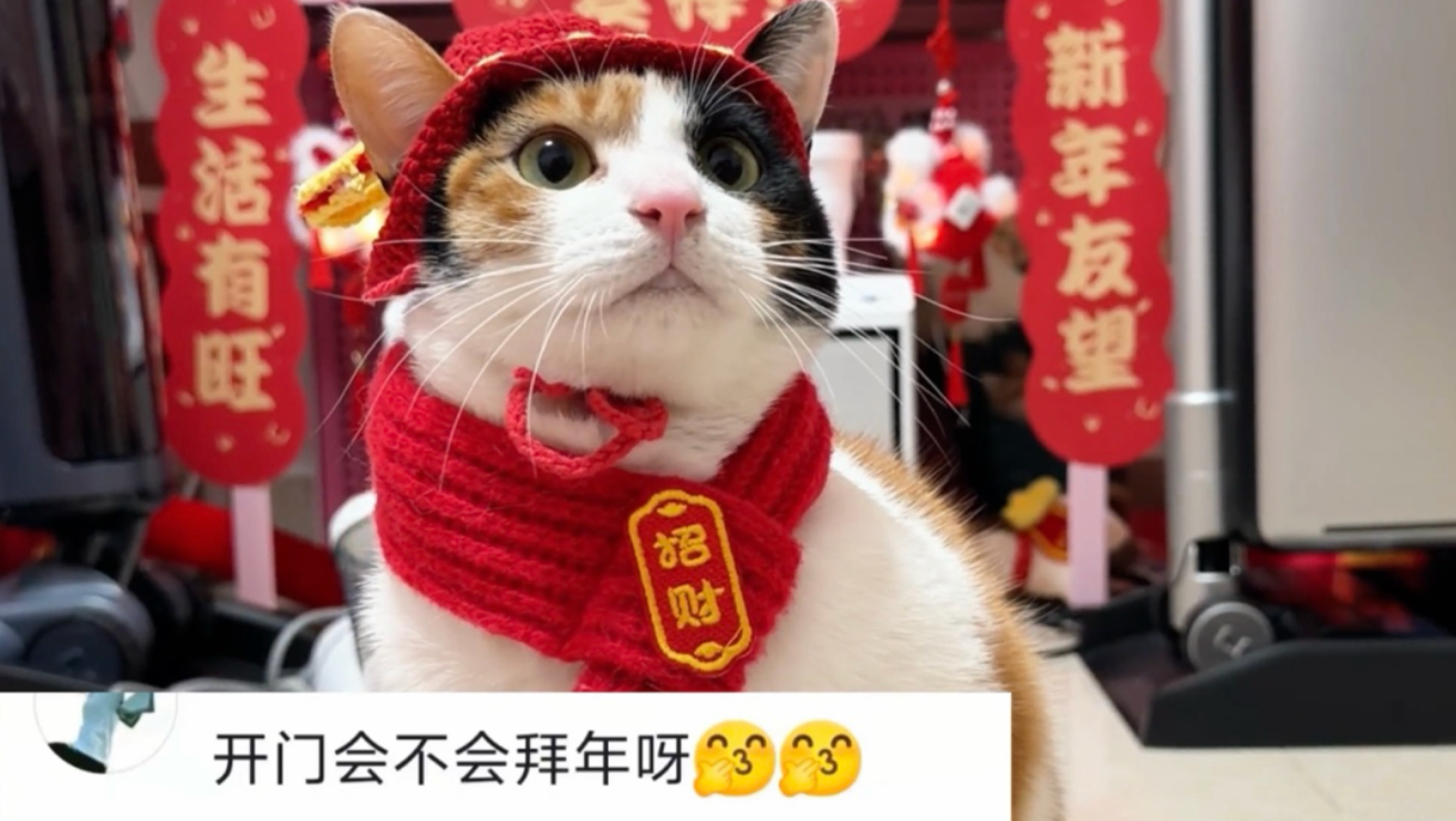 过年了总要聪明一次吧