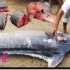 印度村民分割巨大旗鱼