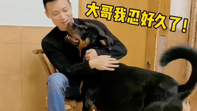 663c5e6916fc4c124c07029831759a2e13769fc6.png@280w_158h_1c_100q.jpg