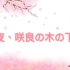 【樱绽字幕组】2020.04.15-今夜 咲良树下#148