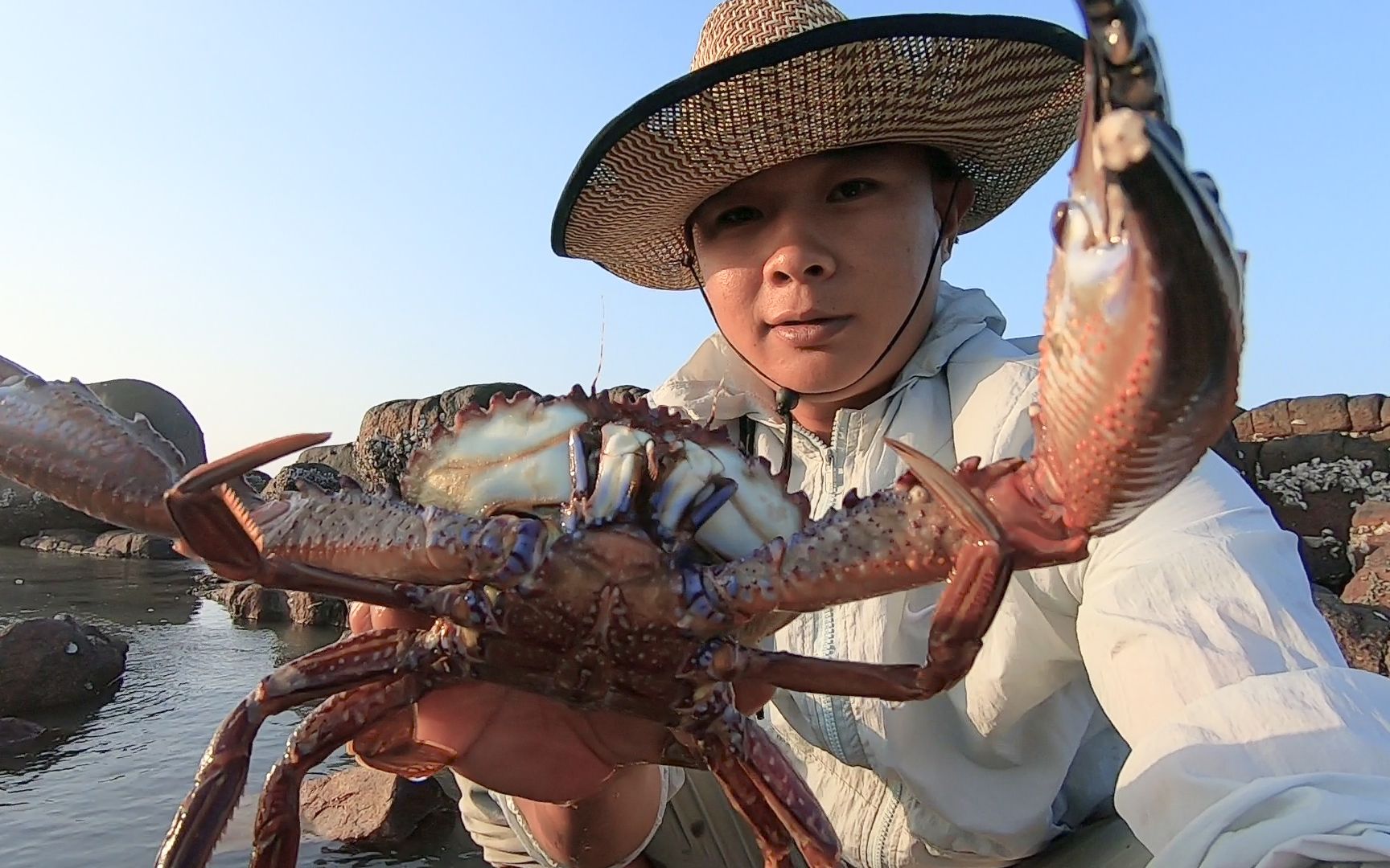 阿波今天赶海狂赚一翻在海边抓大肉螺超大石头蟹