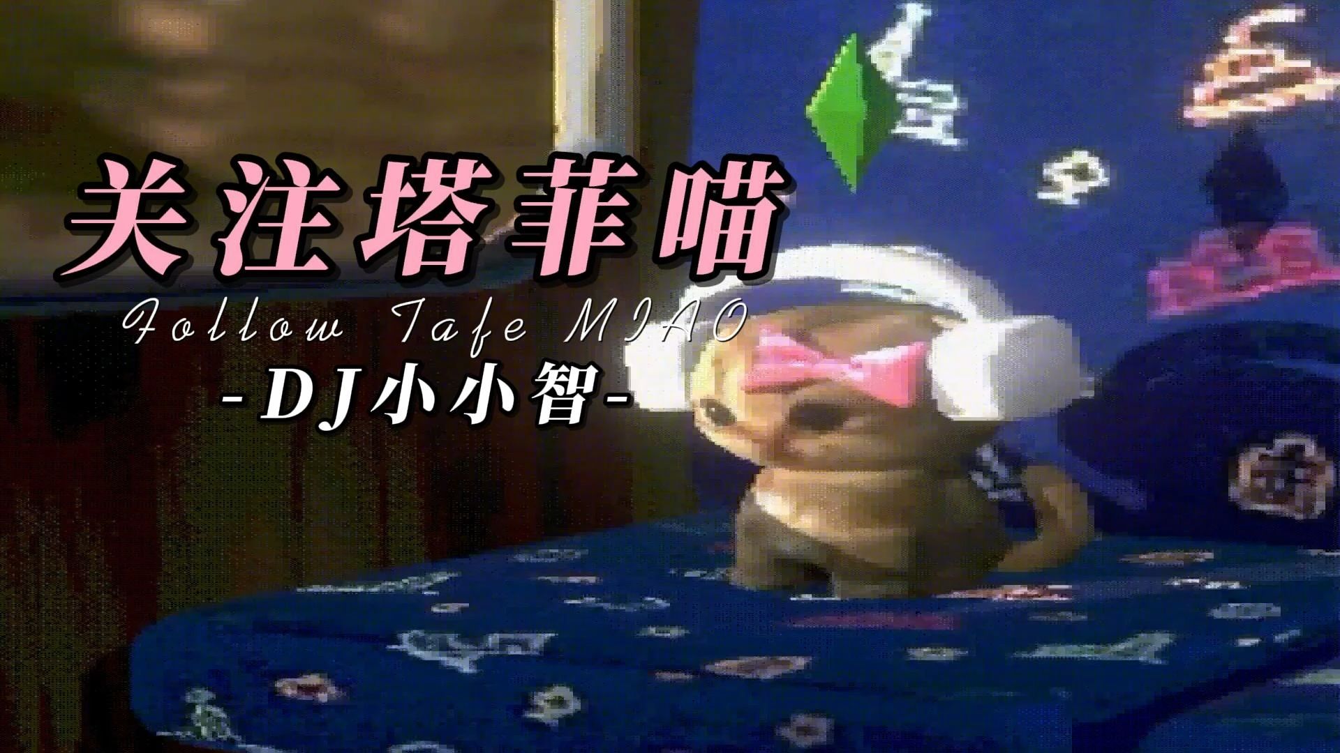 【Hi-Res无损】DJ音乐《关注塔菲喵》“关注塔菲喵🐱 关注塔菲谢谢喵❤️”
