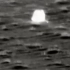 嫦娥五号返回器被一只小狐狸最先发现^^（嫦娥五号成功返回）