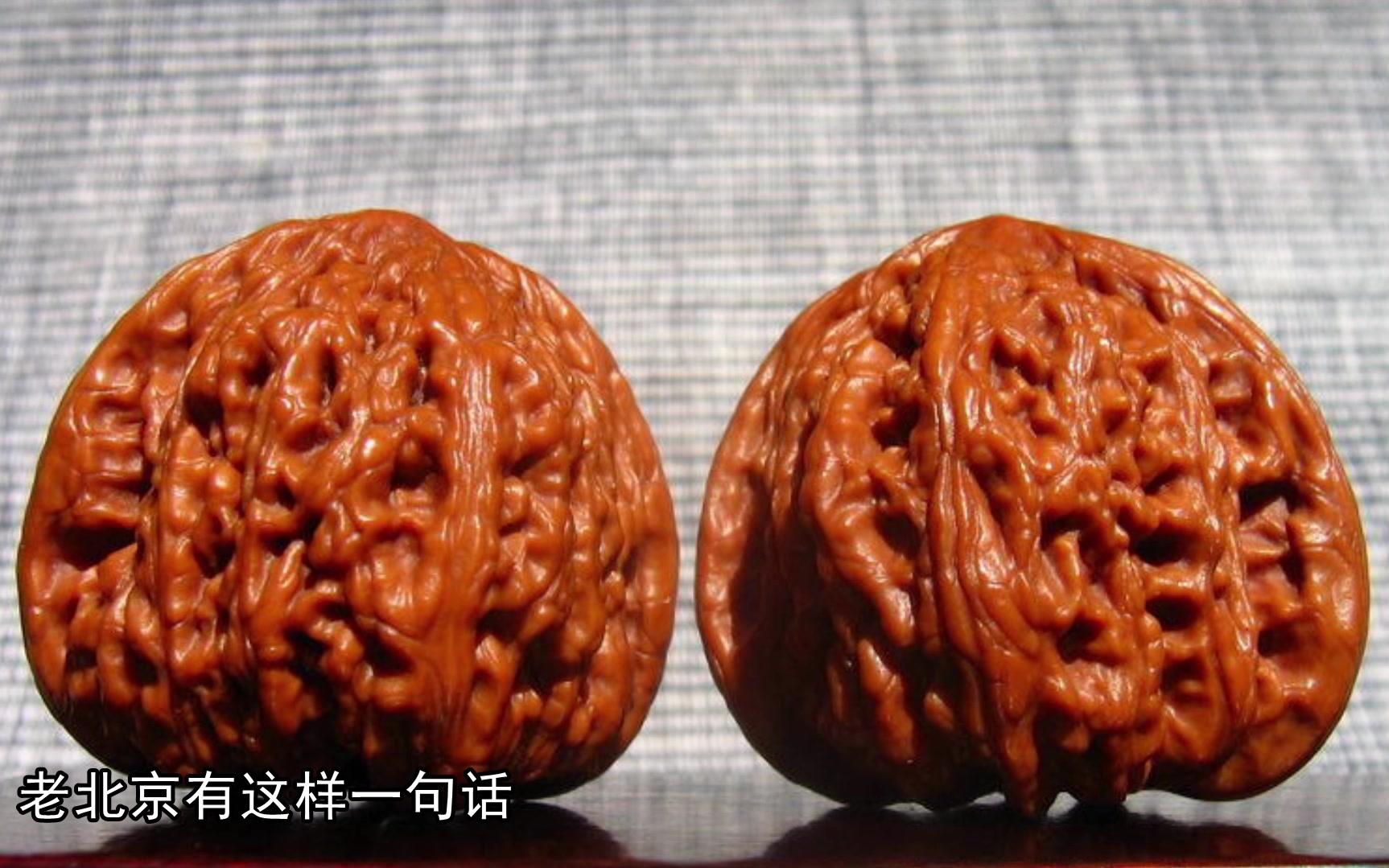 玩物(核桃们~~)
