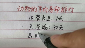 66aba712cfff074a4139cf241fa5ff81a7046fe4.jpg@280w_158h_1c_100q.jpg