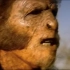 300万年前，人类的先祖猿人，受到同类和猛兽的双重威胁