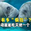 盘点那些被人类吃灭绝的动物，从50亿到0，只用了百年时间