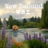 新西兰电影感旅行Vlog