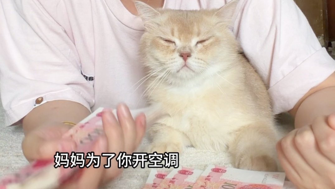 5月工资明细来啦！