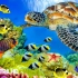 最好的4K海洋动物 丰富多彩的海洋生物
