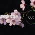 【中国风】无版权背景音乐 / Free BGM ，「樱花三月」，可商用，可用于YouTube/油管等；NoCopyrig