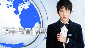 蜗牛与小黄鹂曲谱_蜗牛与黄鹂鸟曲谱(4)