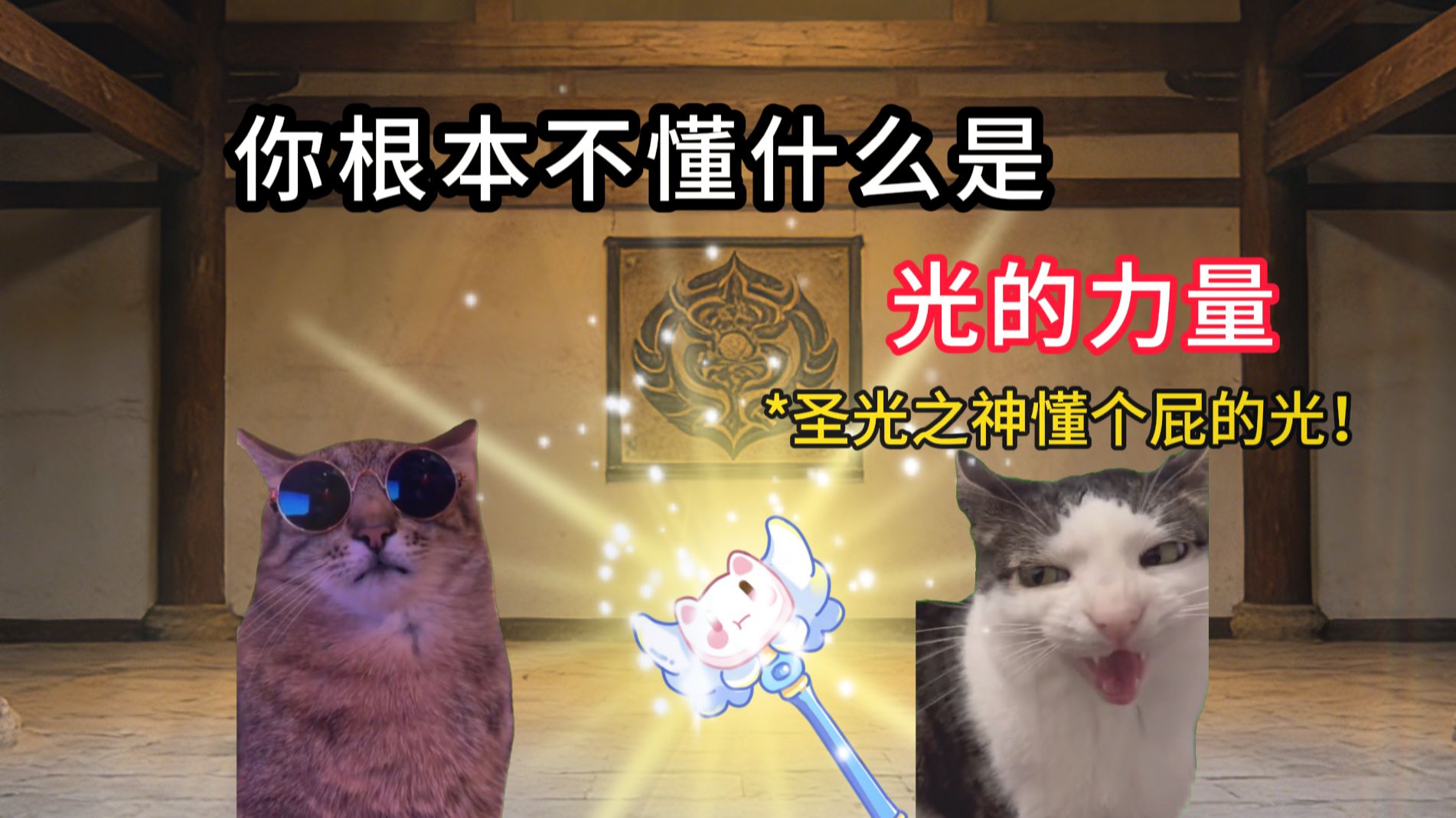 你们根本不懂什么是光