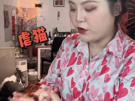 我为保护流浪猫发声