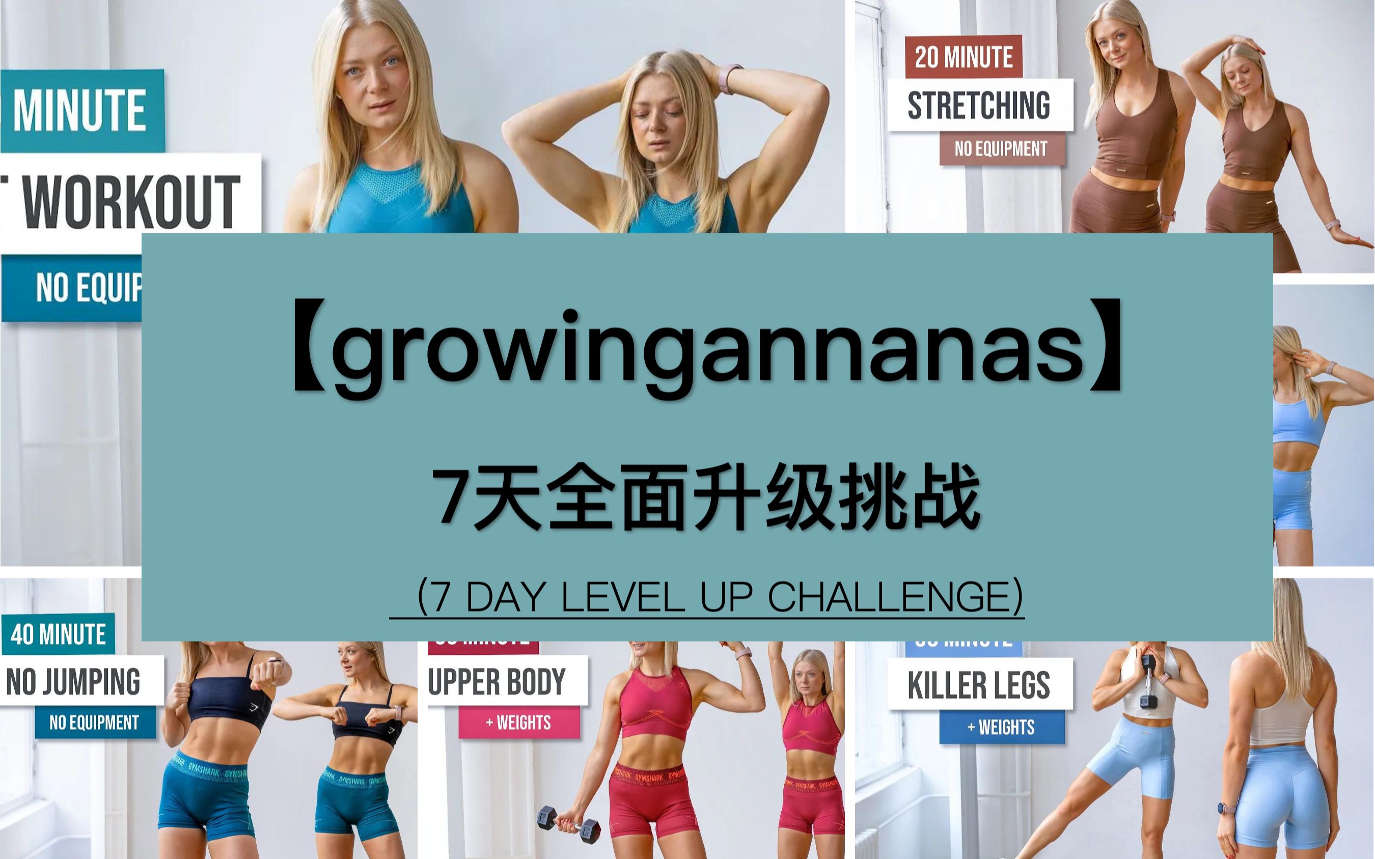 【growingannanas】无器械不健身！7天升级挑战，硬核健身，HIIT&TABATA超级暴汗，高强度全身锻炼！_哔哩哔哩_bilibili