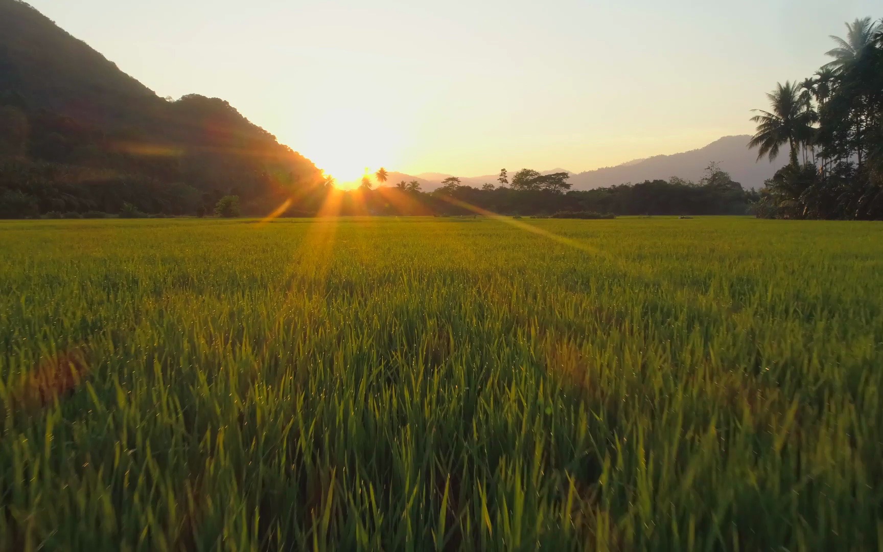 【高清视频素材】追逐夕阳的光