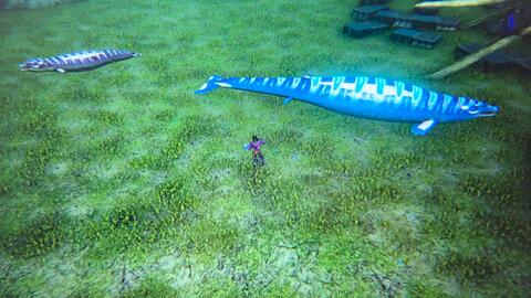 678eb855e6bdc95d35b18597ba0a60f7895c226a.jpg@480w_270h_1c