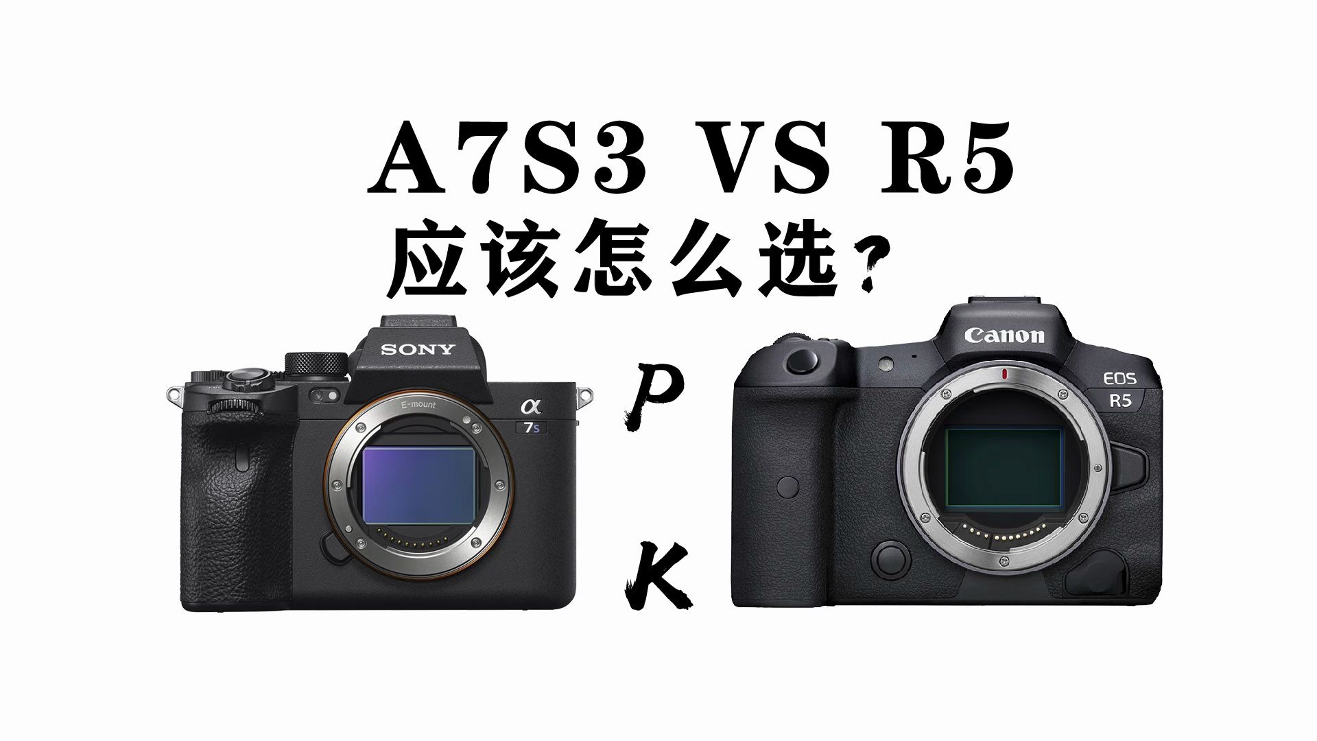 索尼a7s3对标佳能r5应该怎么选