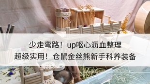 新手应该怎样养金丝熊 67a832eb0e456b7d405b9854cc9df5bd614db6fa.jpg@310w_174h_1c_100q.jpg