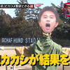 【中】すい 200617 筋肉与大声SP 「滨田的『结果发表——!!!』能击退乌鸦」说