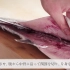 鰆（さわら）のさばき方 - How to filet Japanese Spanish Mackerel -｜日本さばけ