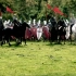 诺曼征服-1066黑斯廷斯战役