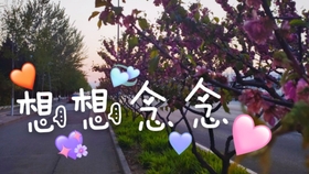 简谱想想念念_想想念念钢琴谱简谱