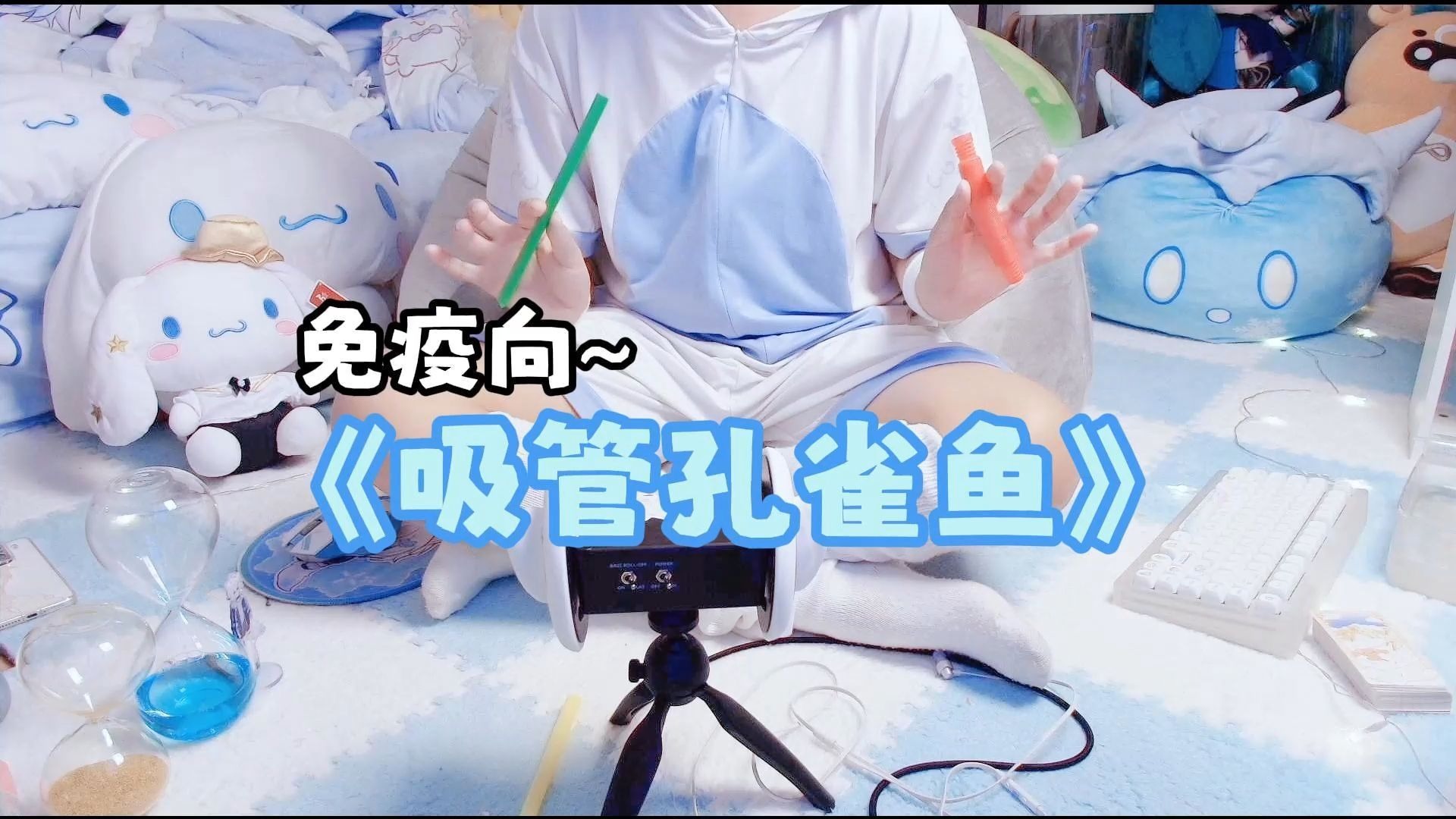 【免疫向asmr】吸管孔雀鱼