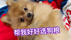 6863d3d64eb16703faba12d653fbc65c5753deaf.png@280w_158h_1c_100q.jpg