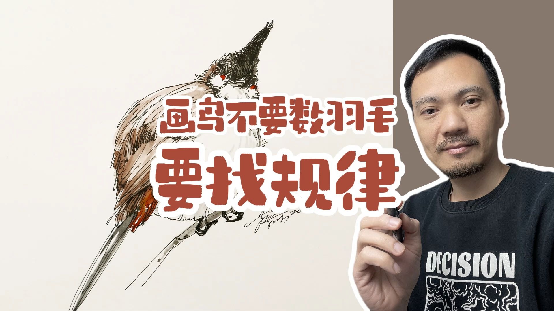 画鸟不要数羽毛要找规律