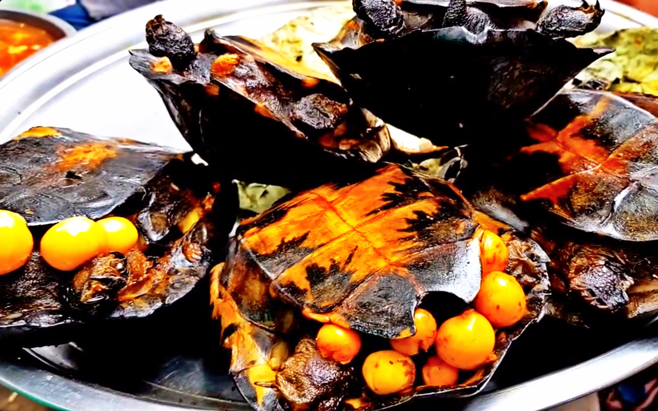 柬埔寨街头奇葩食物烤乌龟烤鱼整个蜂巢麻辣螃蟹炸鸡