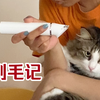 默剧：猫剃毛记