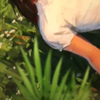 zhubo