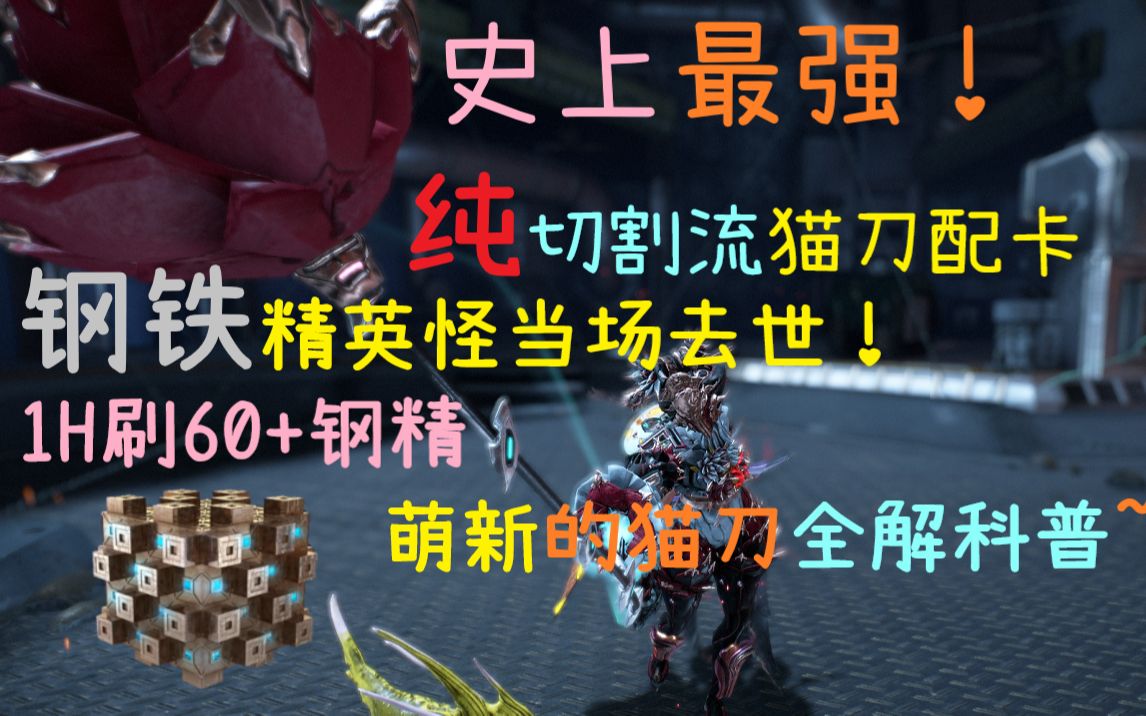 航航君的骚套路篇萌新们的猫刀全解百科史上最强
