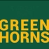 Ri3D Greenhorns 2016赛季Steamworks最终方案视频！