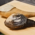 日本厨师向你展示如何将象拔蚌切片做成刺身