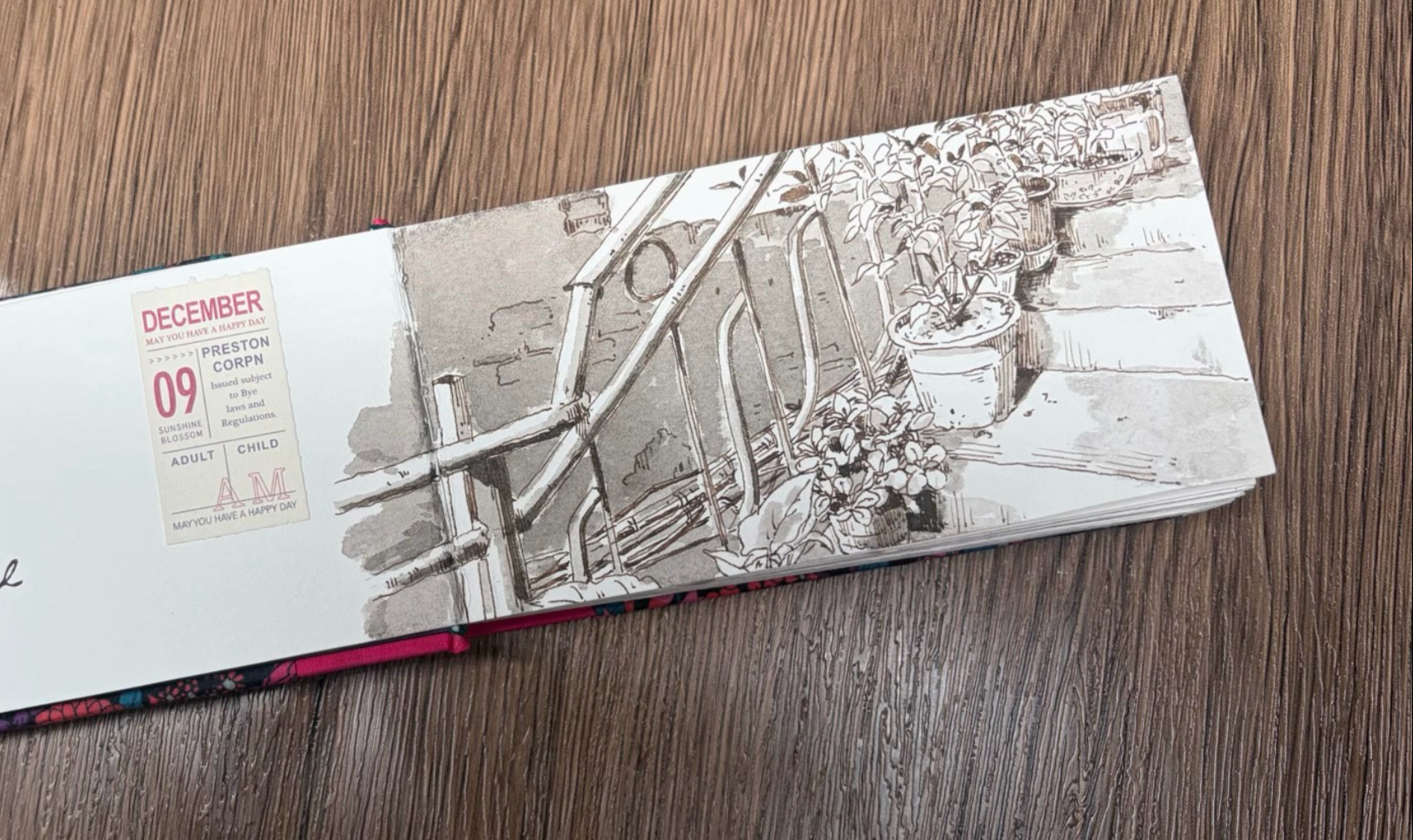 画个简单的，录个过程视频