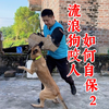 遇到疯狗咬人怎么办？避无可避躲无可躲，十年训犬师一招制服