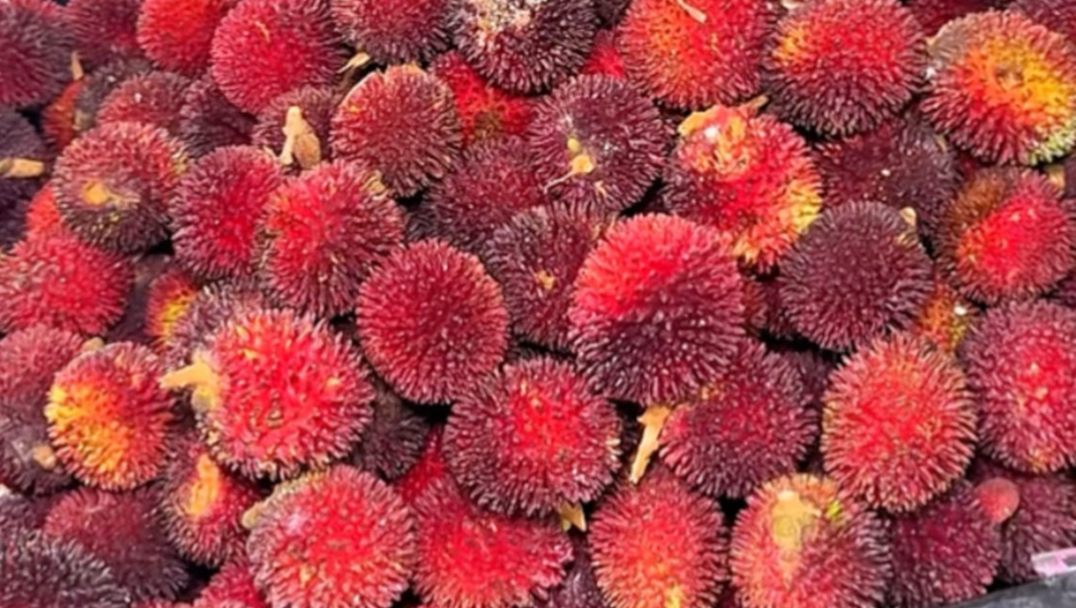 红毛丹居然还有这么多兄弟姐妹，无毛红毛丹、黄毛丹、紫毛丹、黄肉红毛丹等等。