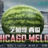 【蓝血字幕组】杰米法伦秀 吐槽芝加哥系列--芝加哥